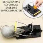 Rat Trap (Pack of 6) - Image 3